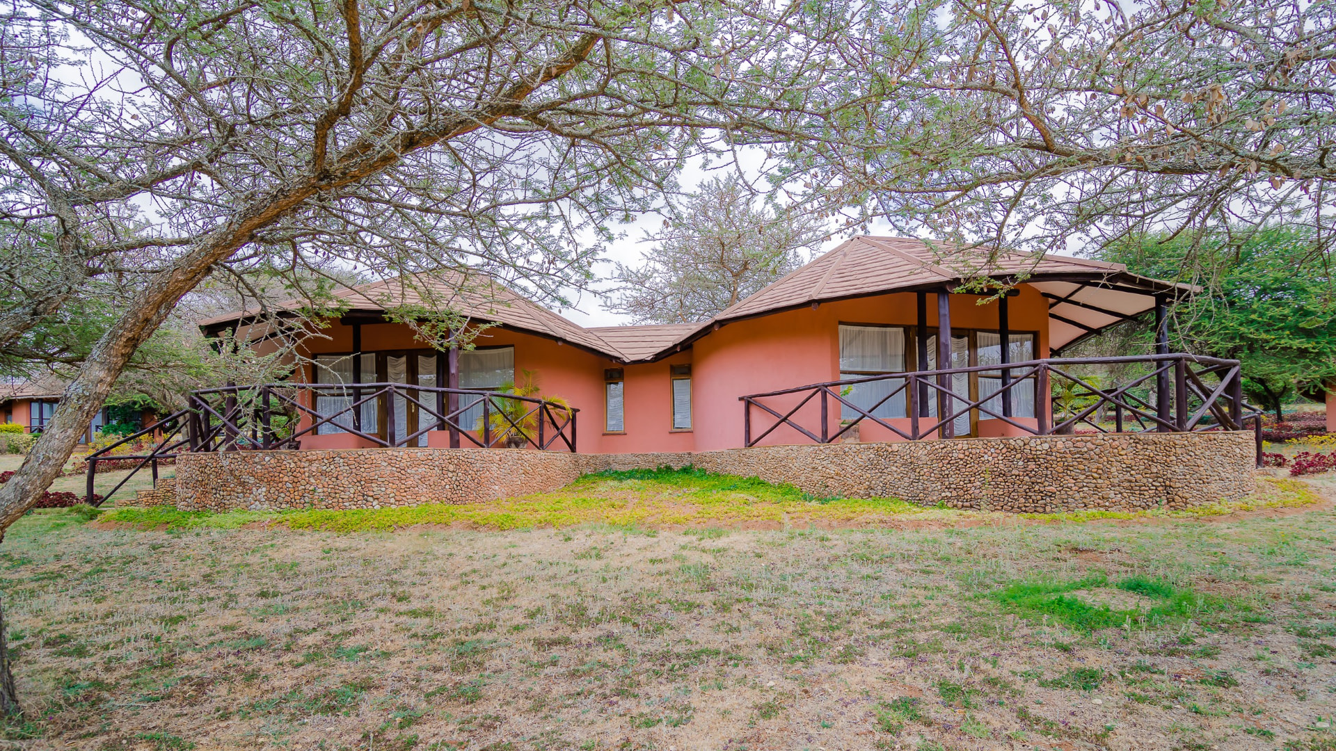 Cottages with ochre walls under acacia trees